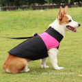 Wear Resistant Black And Blue Pet Clothing